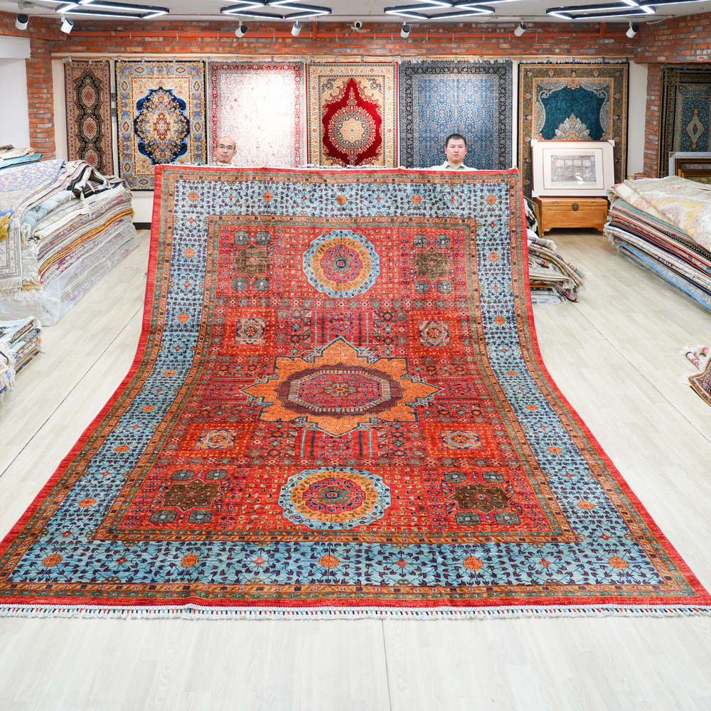 Red and Blue Handmade Wool Area Rug for Living Room 10.07x13.12ft