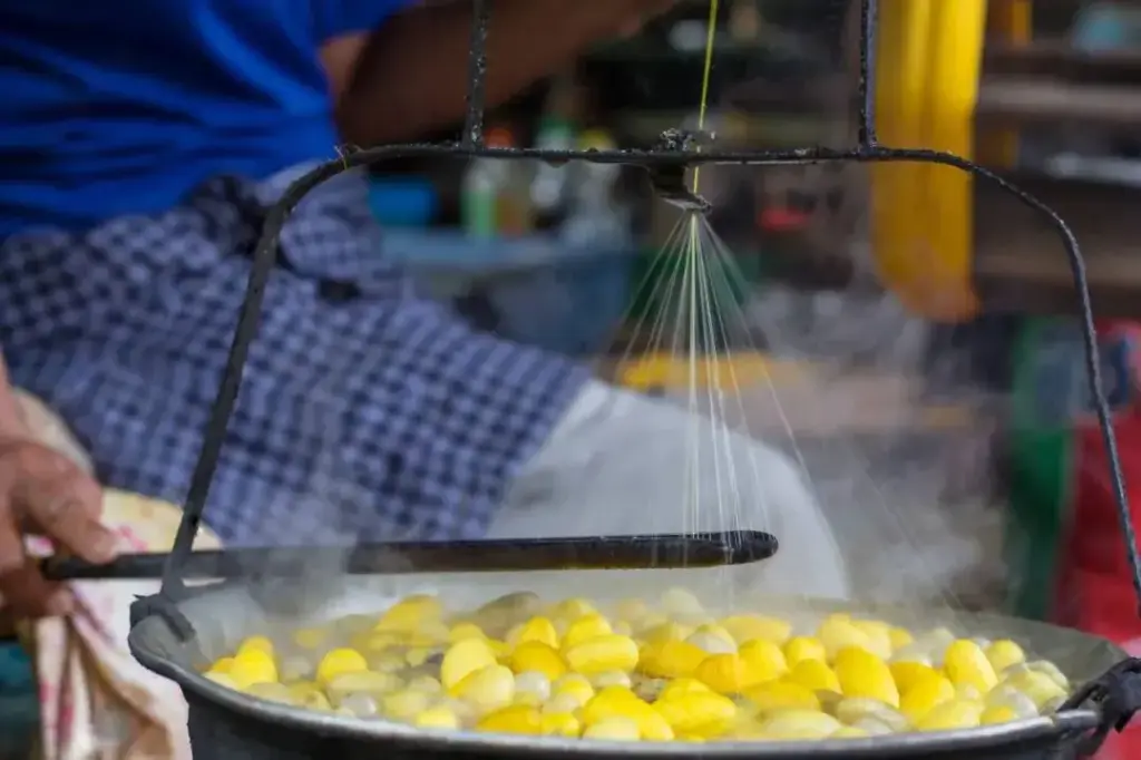 Silk filaments being reeled from softened cocoons