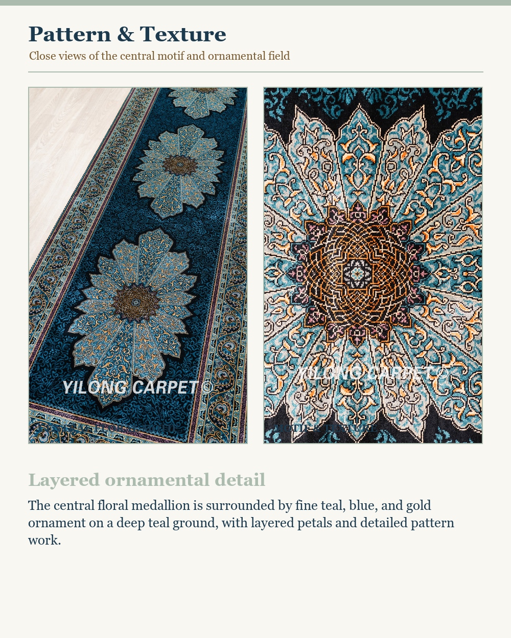CZN113A-2.7X12-detail-panel-2